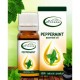 ΜΕΝΤΑ (Mentha arvensis) 10ml 100%ΑΙΘΕΡΙΟ ΕΛΑΙΟ