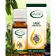 ΦΑΣΚΟΜΗΛΟ (Salvia officinalis) 10ml 100% ΑΙΘΕΡΙΟ ΕΛΑΙΟ