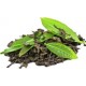 Τσάι Green Tea Teekanne